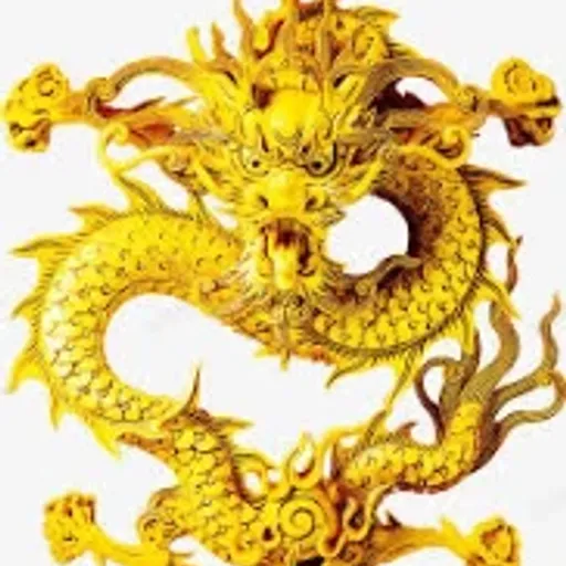 金龙
