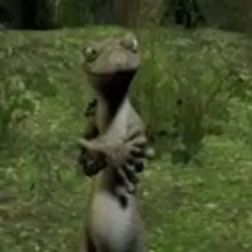 Lizard