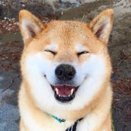 kimdoge