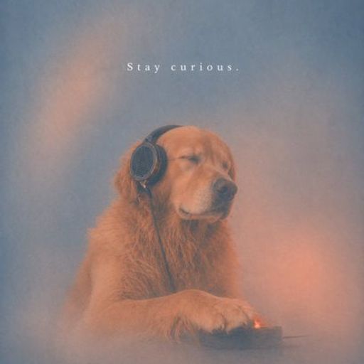 VIBEDOG