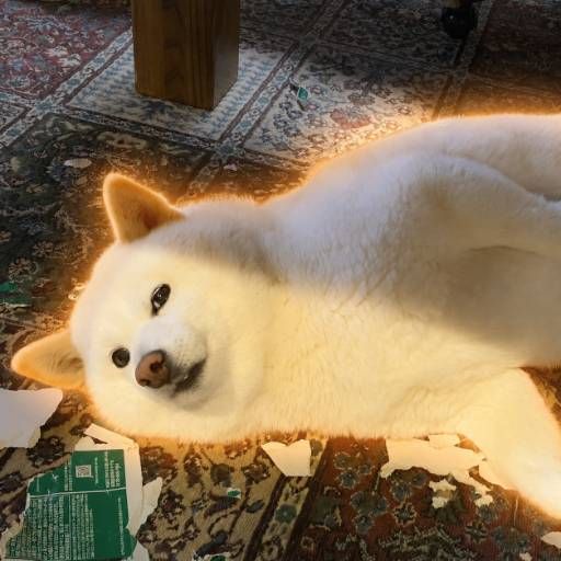 Hana-chan