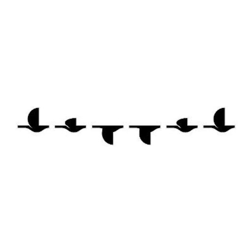 FLYNET