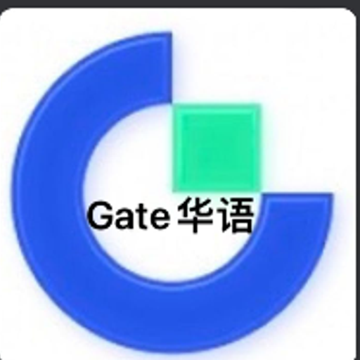 GT专家