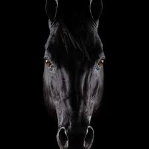 darkhorse