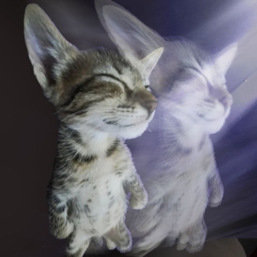 Awakening