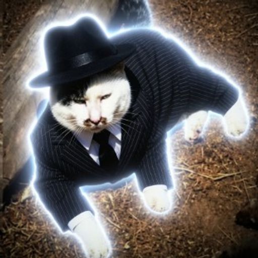 PURRLEONE