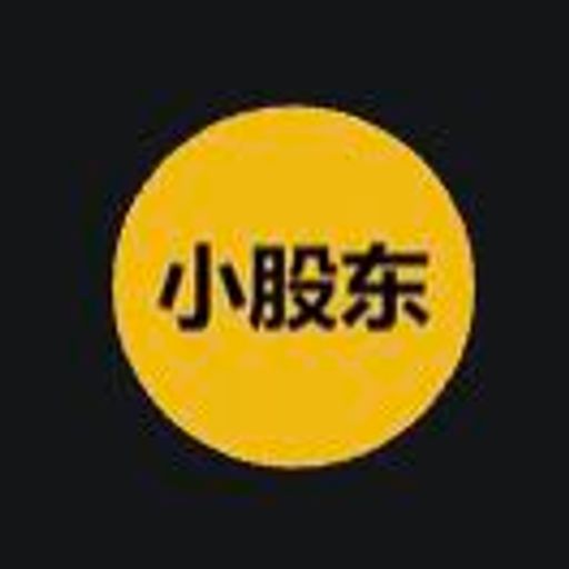 小股东