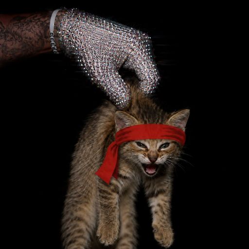 RedKitten
