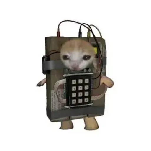 C4T