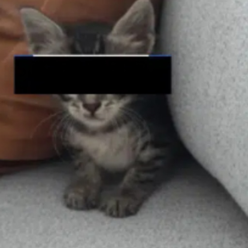 incatnito
