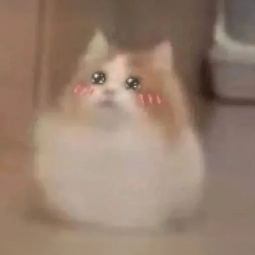 MAJIN