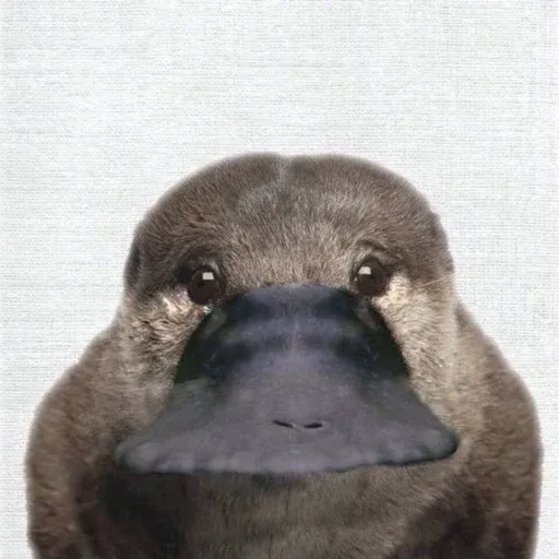 スネ
