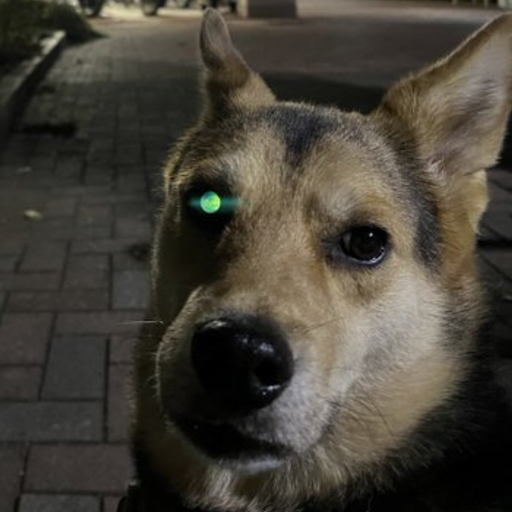 terminadog