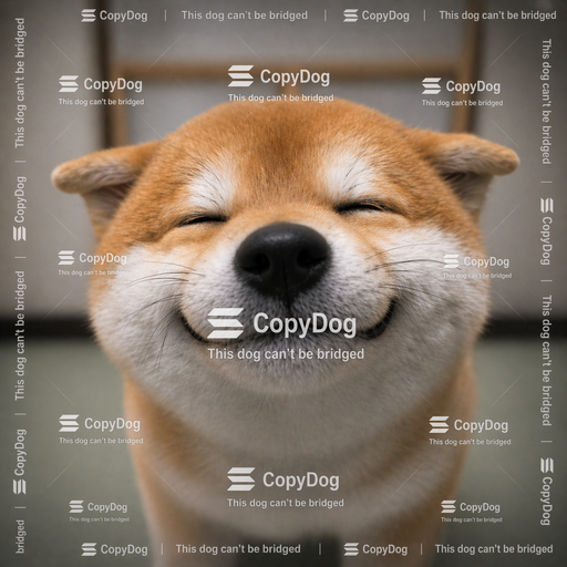 CopyDog