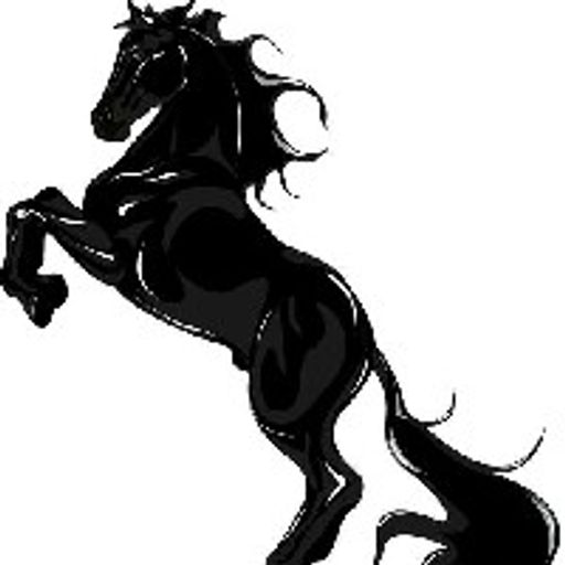 🐴🐴🐴