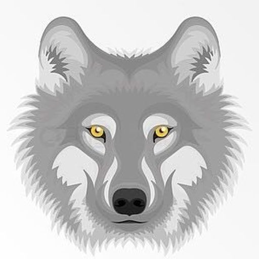 我一定会回来的