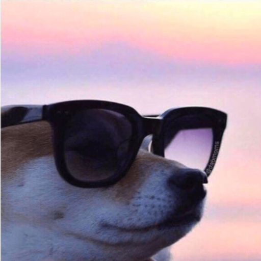 CHILLNDOG