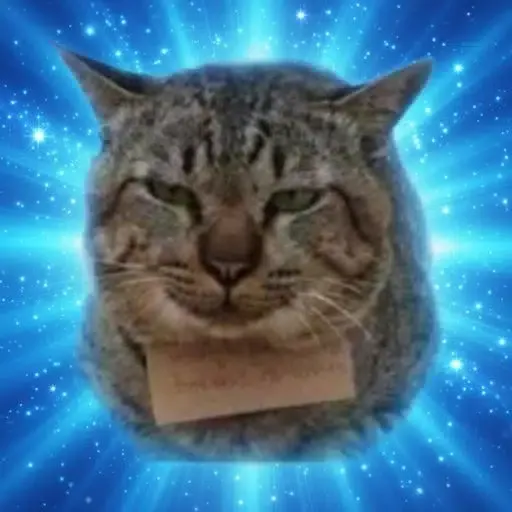 借金猫