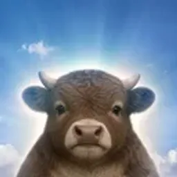 bullieve