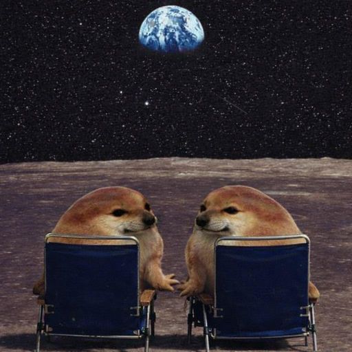 lastDog