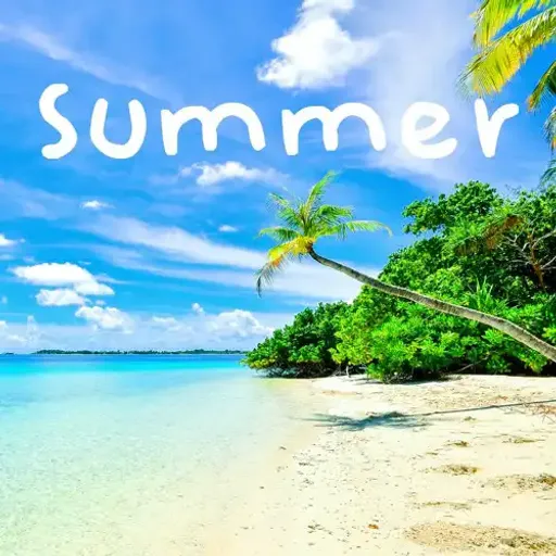 MEME Summer