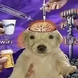 BRAINWASH