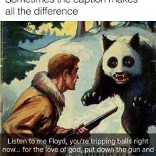 FLOYD