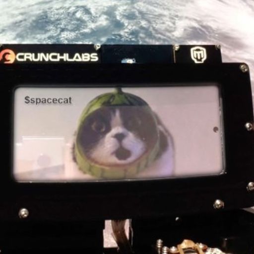 SPCAT