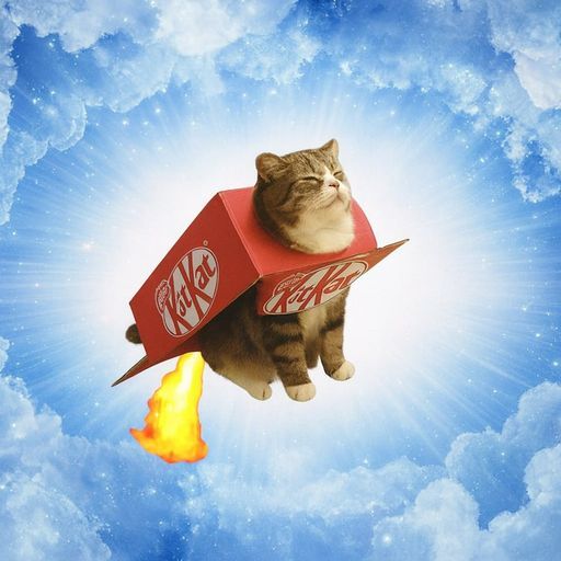 ROCKETKAT