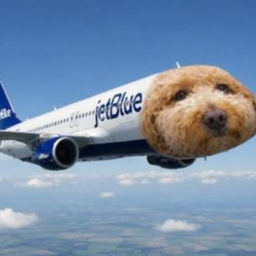 JETBLUE