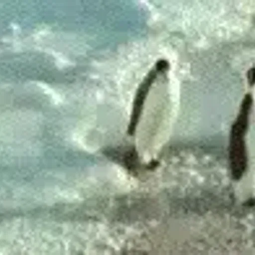 PUNCHGUIN