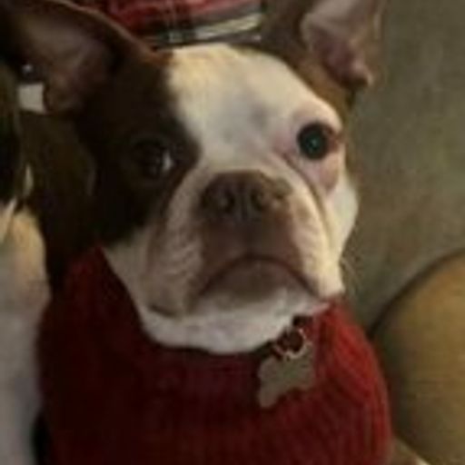 CHARLIE