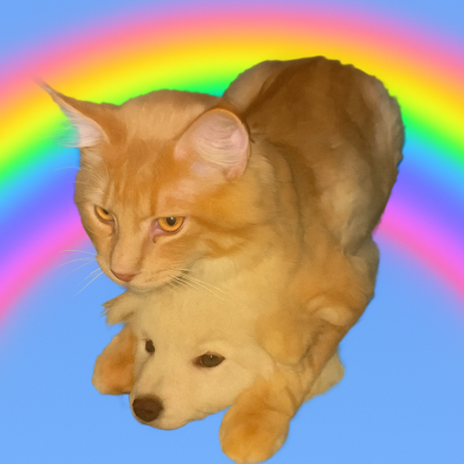 dͨoͣgͭ