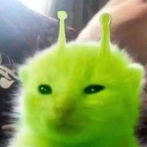 外奇