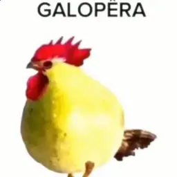GALOPÊRA