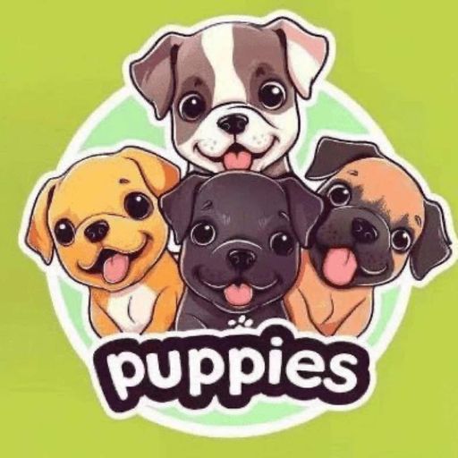 puppies