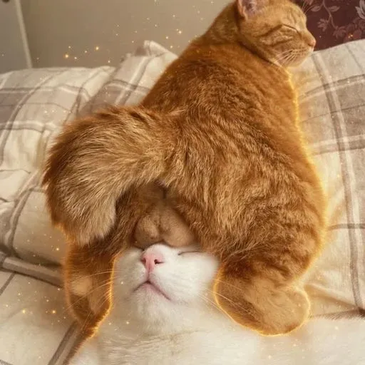 至福