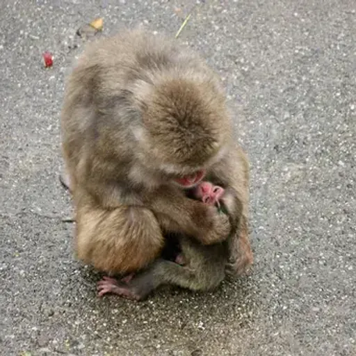 キック