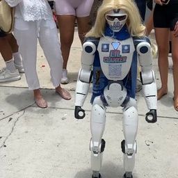HAALANDBOT