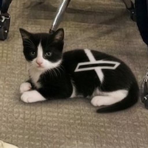 XCAT