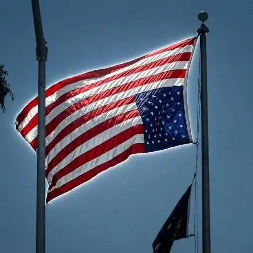AMERIDOWN