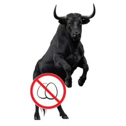 BULLOCK