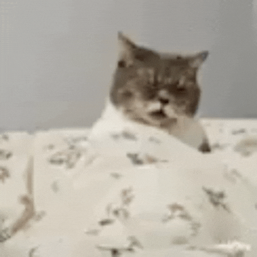 Jcat