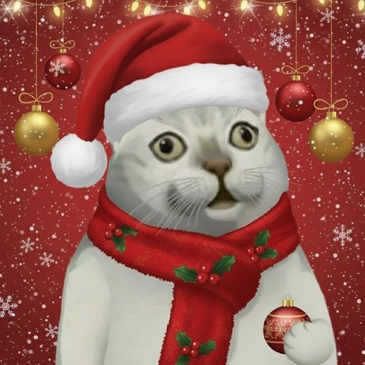XMASCAT