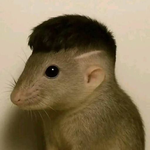 Mougger