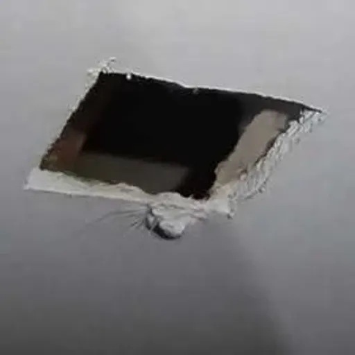 Cеiling