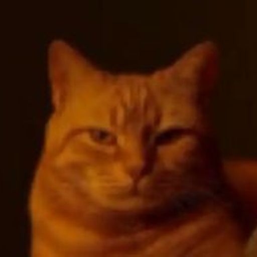 Billi