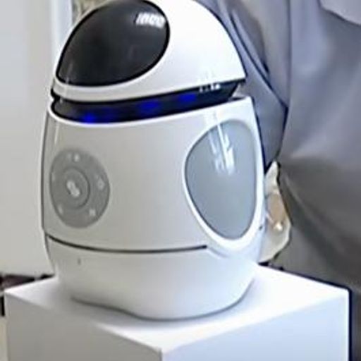 二蛋