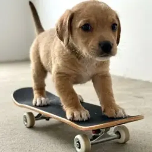 NiggBoard