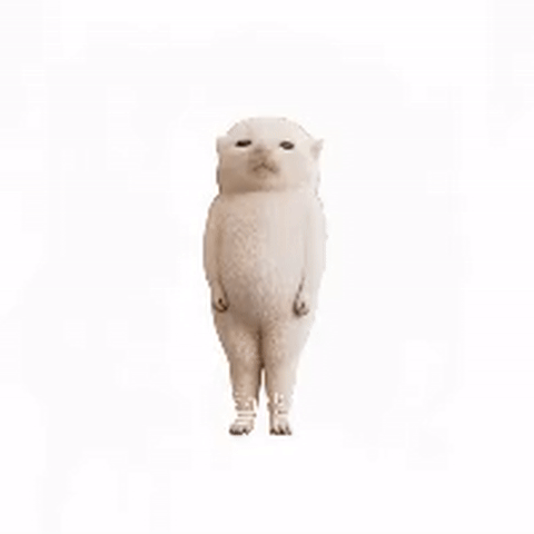 蜥蜴舞